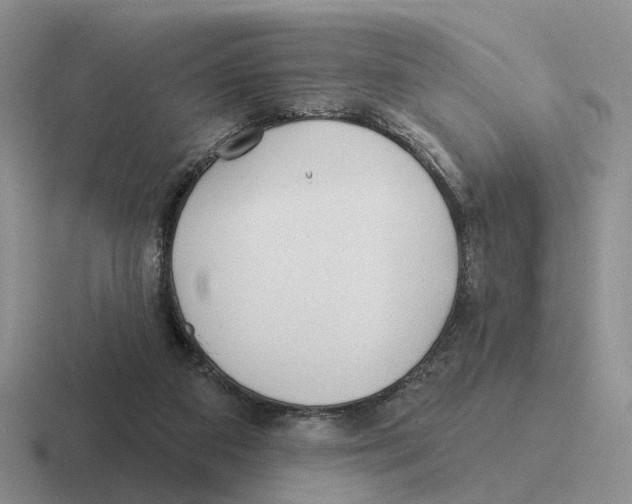 X0000116570113201001071202