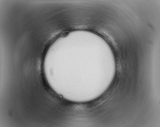 X0000116570115201001071202