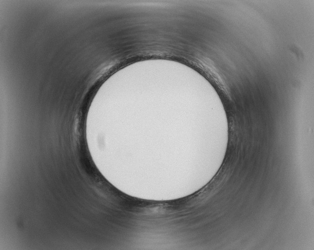 X0000116570116201001071202