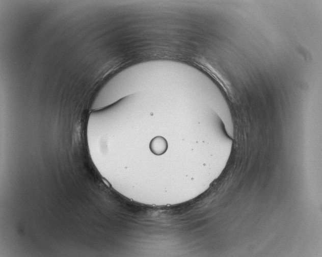 X0000116570117201001071202