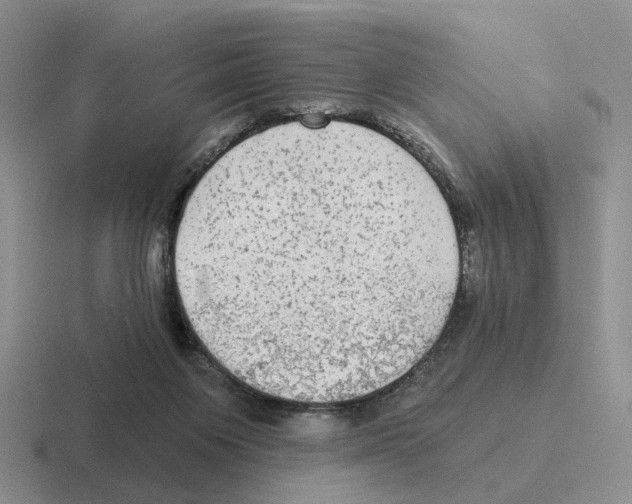 X0000116570119201001071202