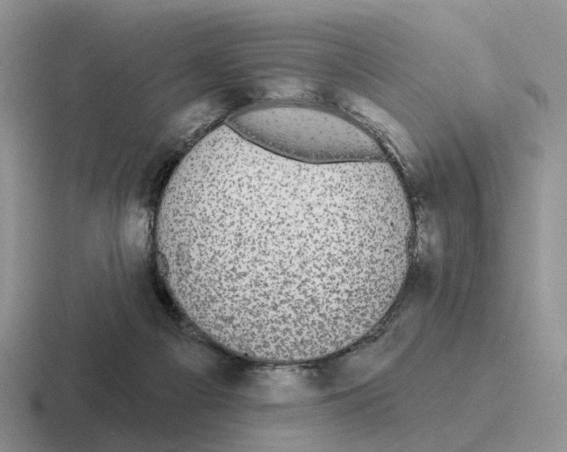 X0000116570121201001071202