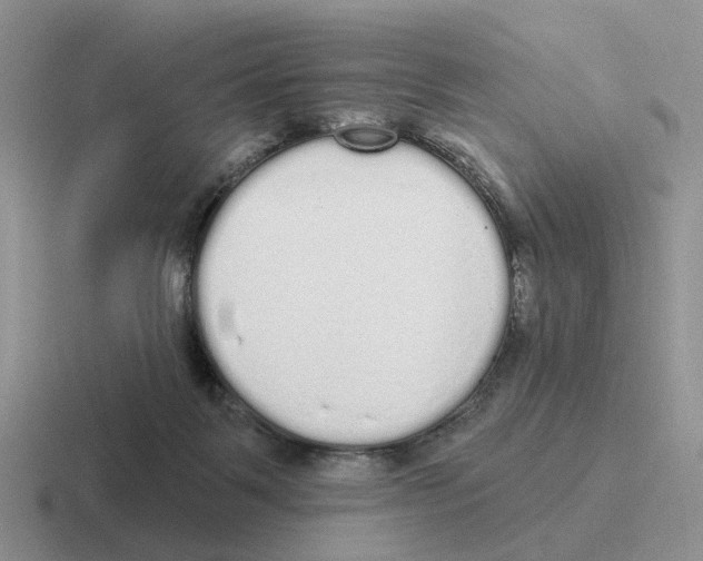 X0000116570123201001071202