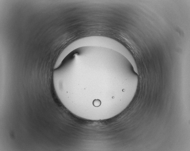 X0000116570125201001071202