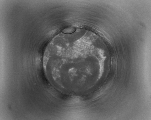 X0000116570127201001071202