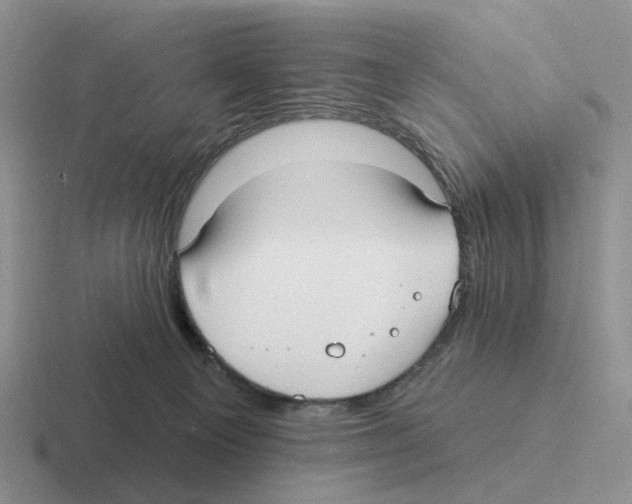 X0000116570129201001071202