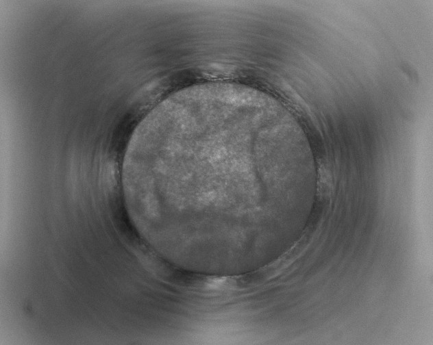 X0000116570130201001071202