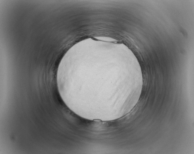 X0000116570136201001071202