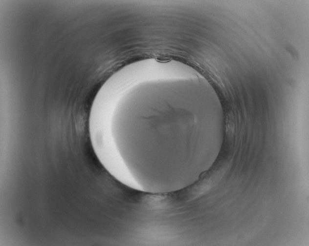 X0000116570139201001071202