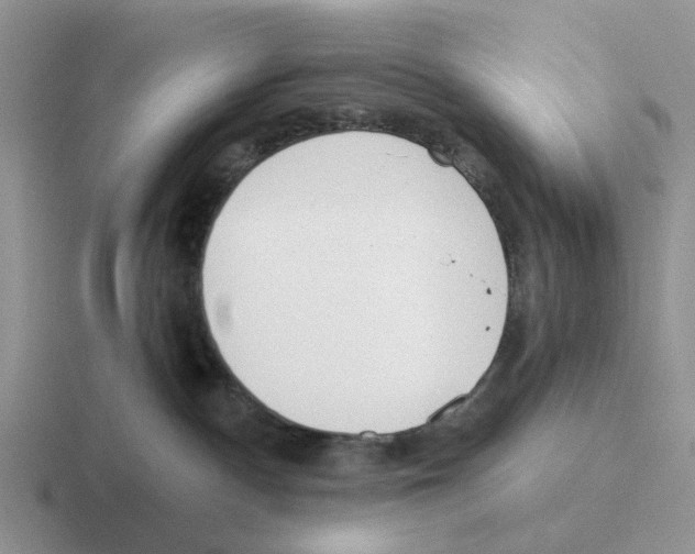 X0000116570140201001071202