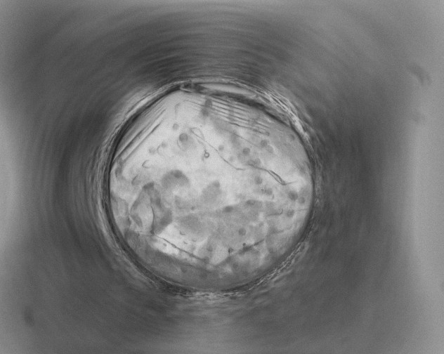 X0000116570145201001071201