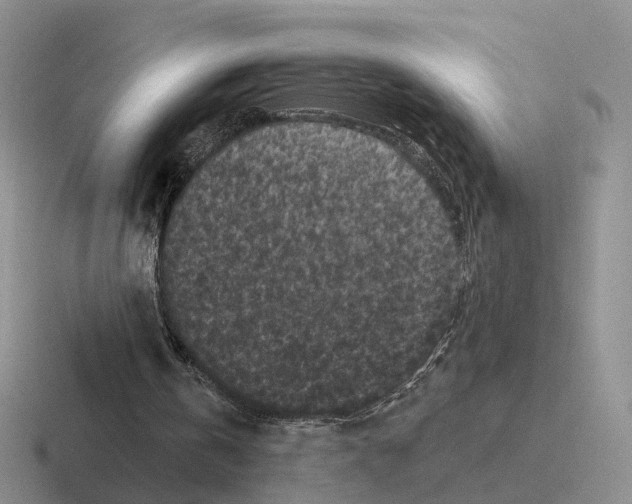 X0000116570146201001071201