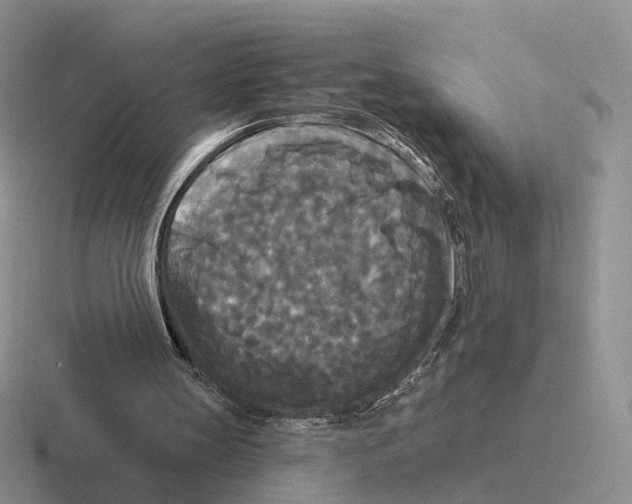 X0000116570147201001071201