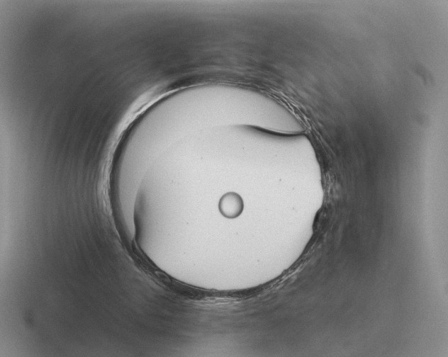 X0000116570150201001071201