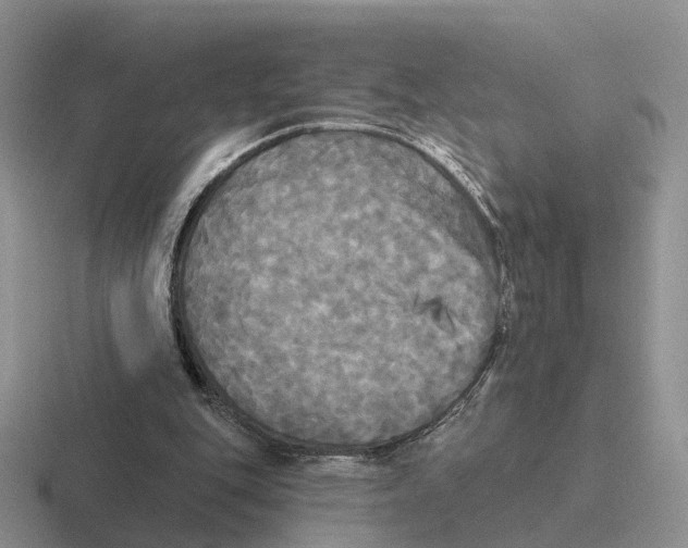 X0000116570151201001071201