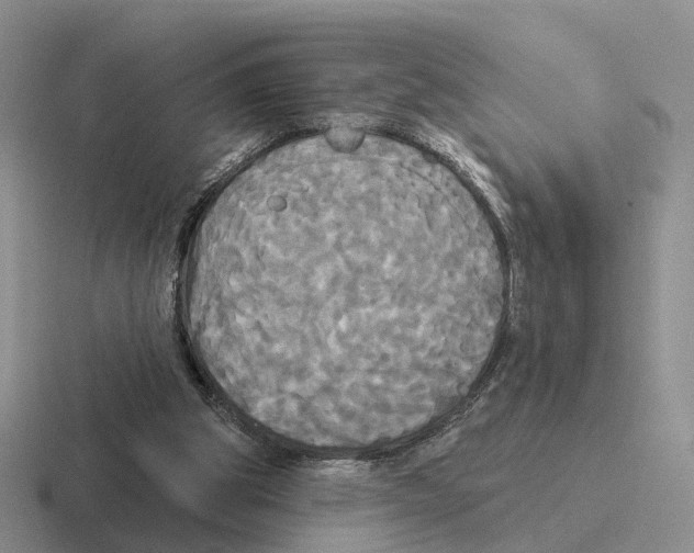 X0000116570153201001071201