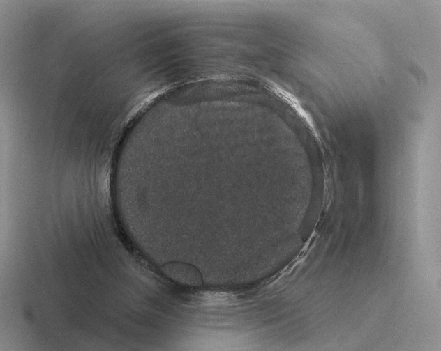 X0000116570154201001071201