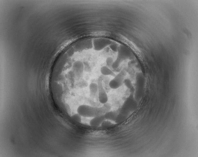 X0000116570155201001071201