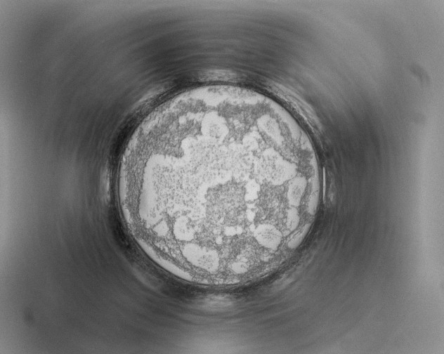 X0000116570157201001071201