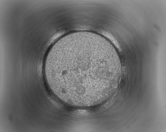 X0000116570159201001071201