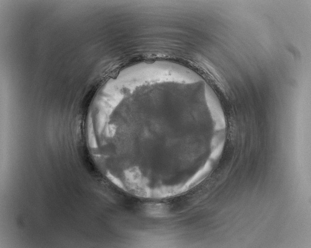 X0000116570169201001071201