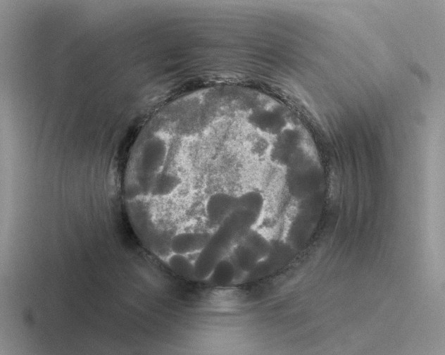 X0000116570173201001071201