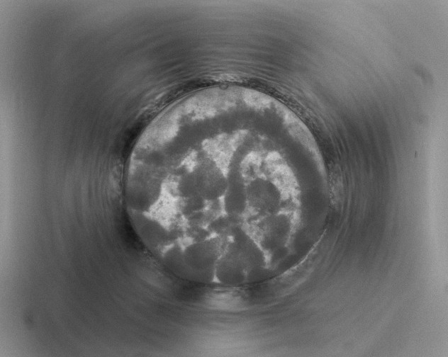 X0000116570175201001071201