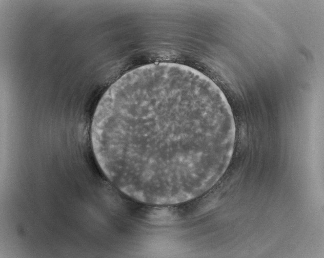 X0000116570177201001071202