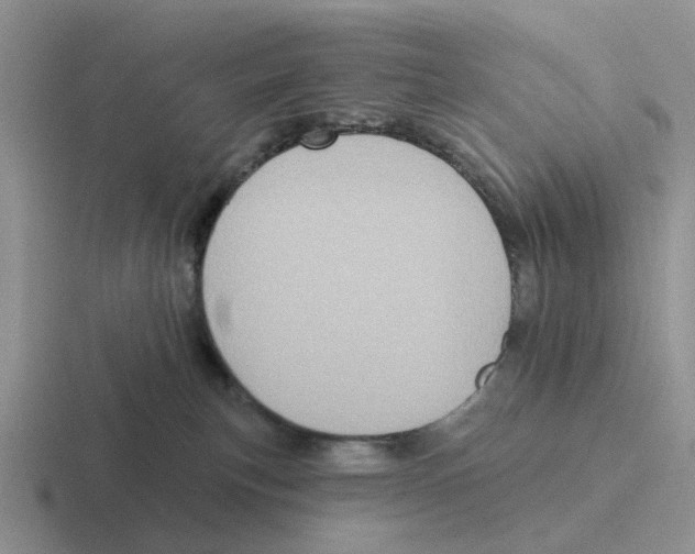 X0000116570183201001071202