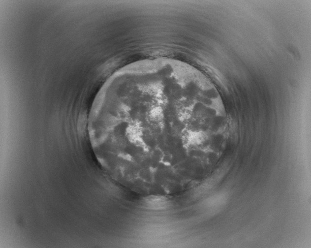 X0000116570189201001071202