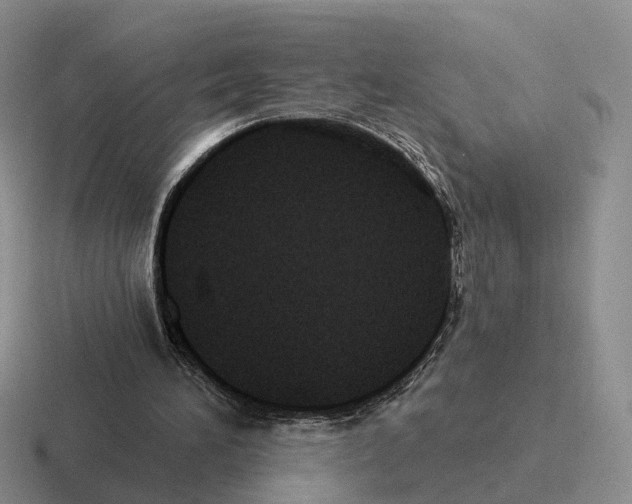 X0000116570196201001071201