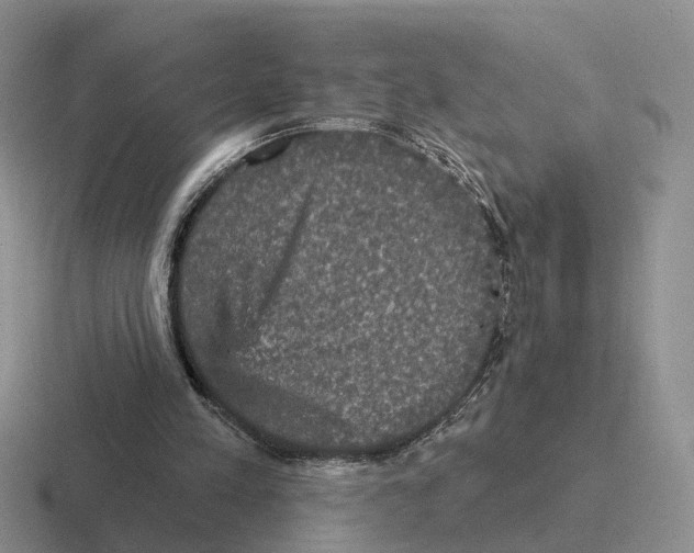 X0000116570197201001071201