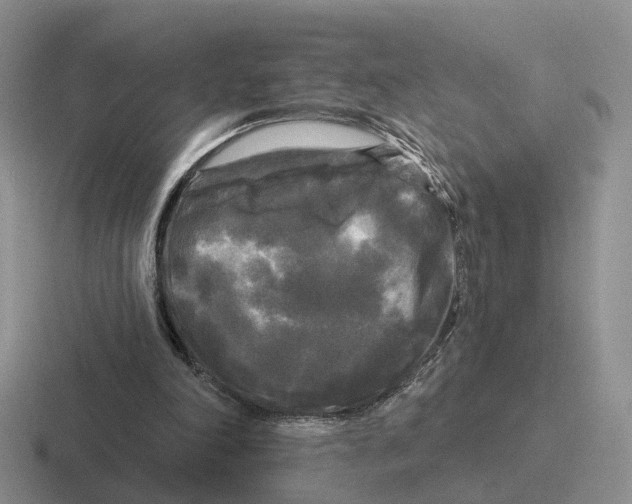 X0000116570198201001071201