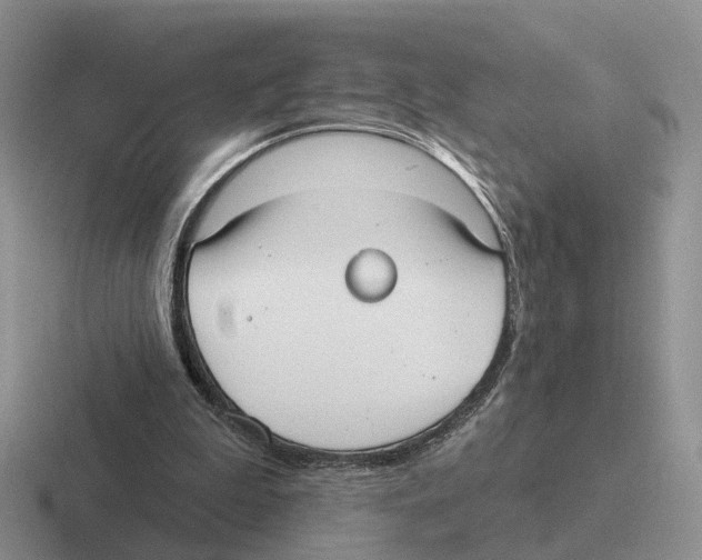 X0000116570199201001071201