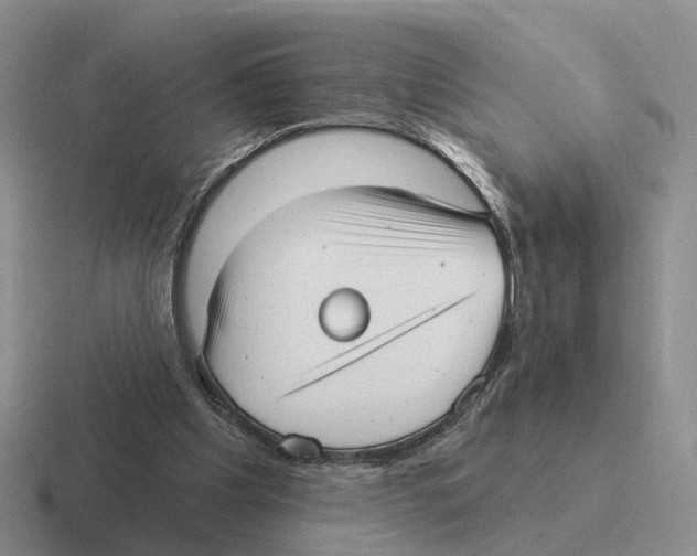 X0000116570201201001071201