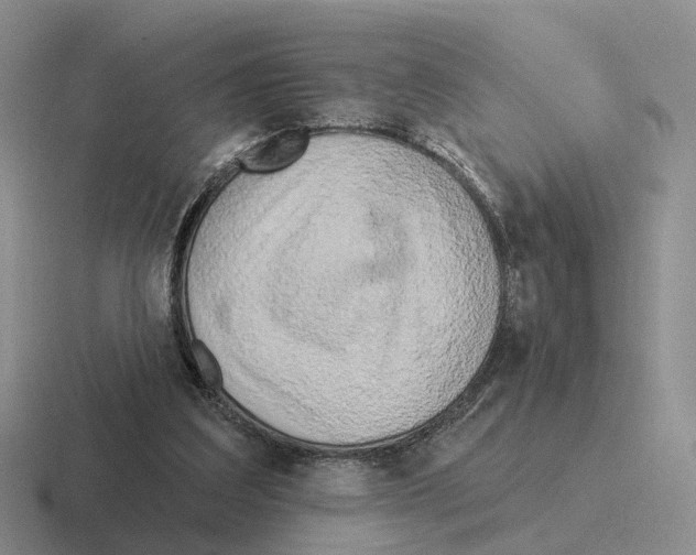 X0000116570203201001071201