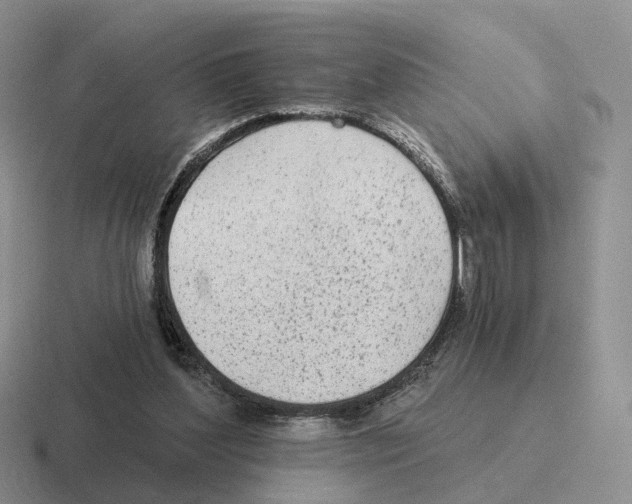 X0000116570204201001071201