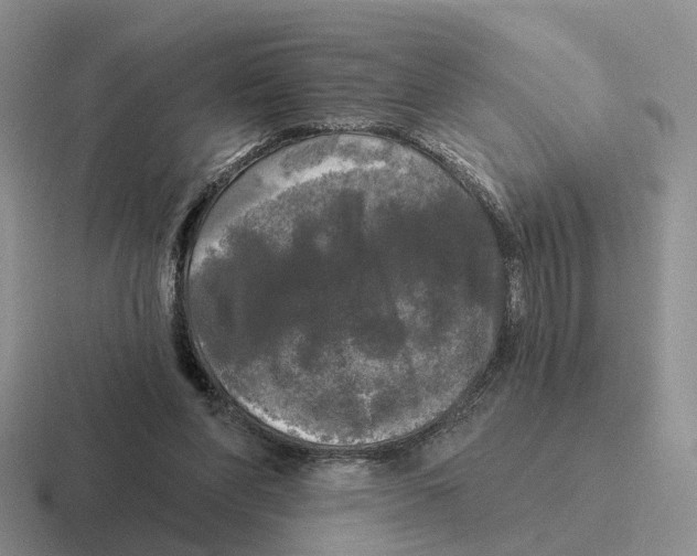 X0000116570206201001071201