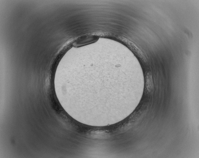 X0000116570208201001071201