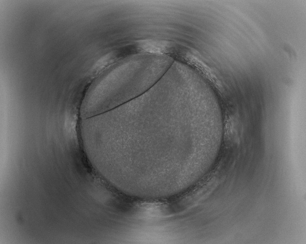 X0000116570209201001071201