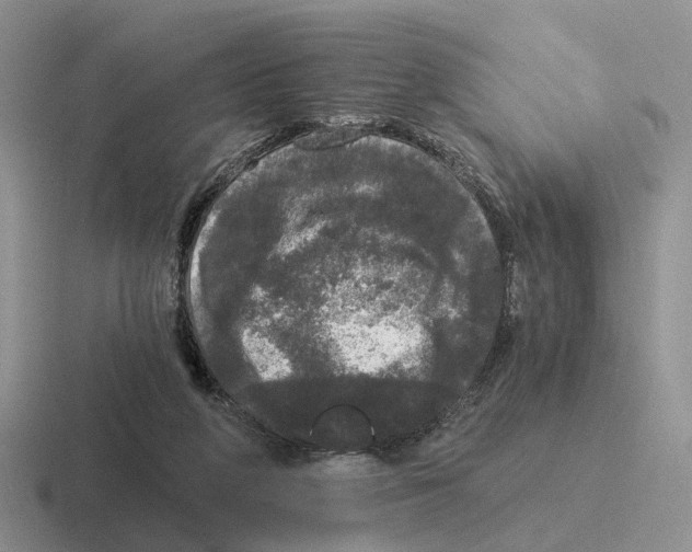 X0000116570210201001071201