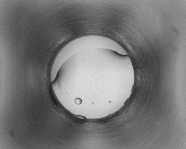 X0000116570211201001071201