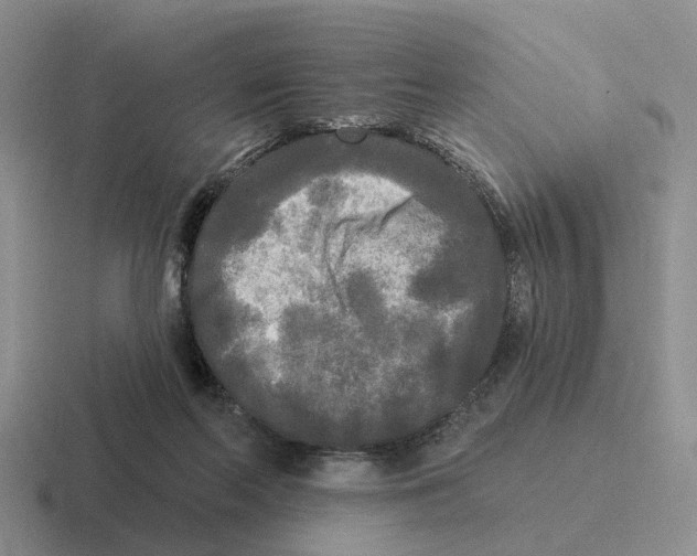 X0000116570214201001071201