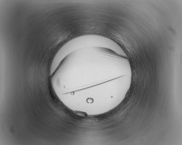 X0000116570215201001071201