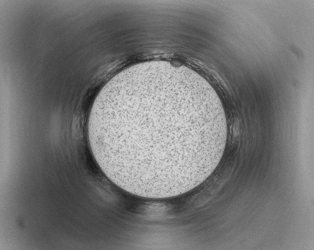 X0000116570218201001071201