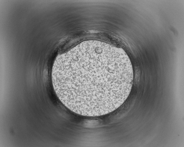 X0000116570220201001071201