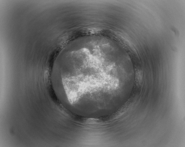 X0000116570222201001071201