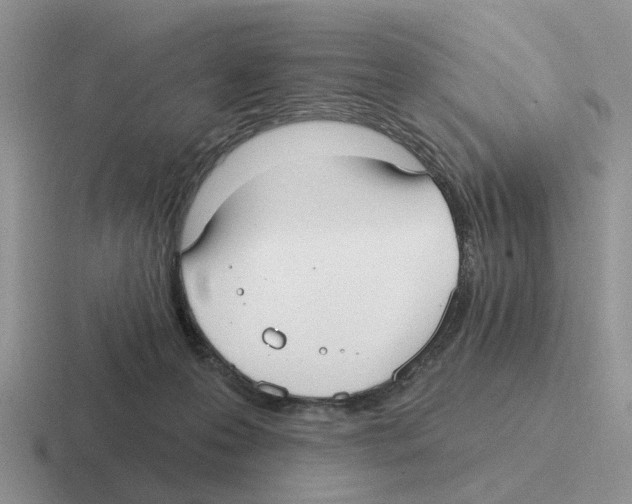 X0000116570223201001071201