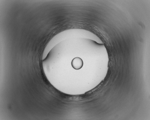 X0000116570225201001071201