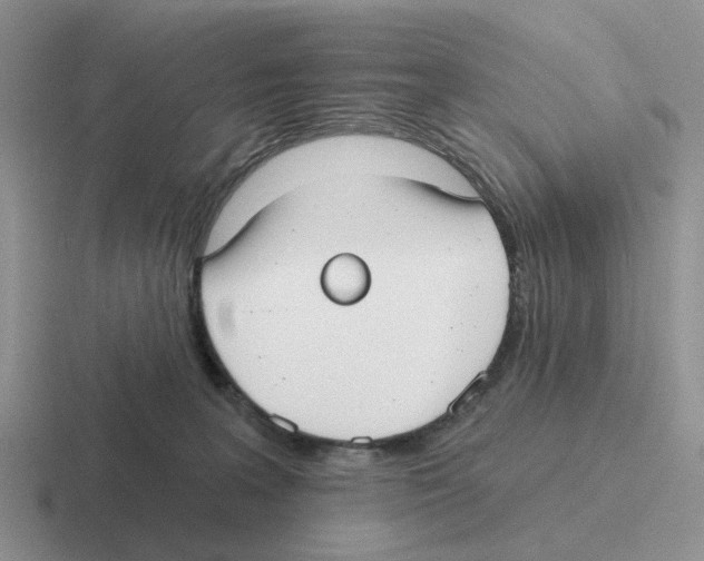 X0000116570227201001071201